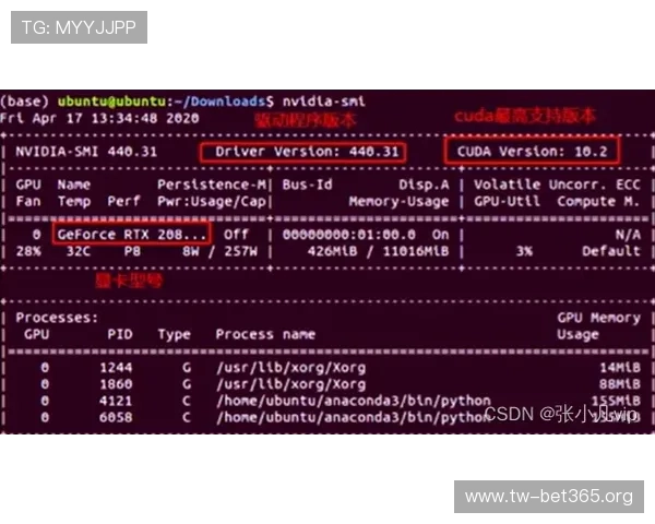 五大联赛投注技巧清晰解析与实战投注思路大全系统进阶指南稳健盈利策略