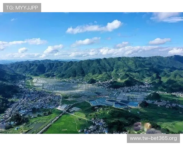 探索金沙官网的多元化服务与创新发展前景助力全球娱乐产业腾飞