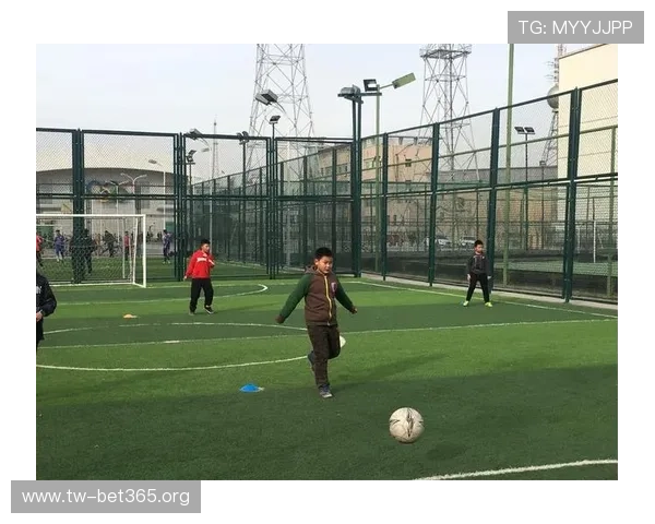 美嘉体育引领全民健身新时代助力运动健康生活