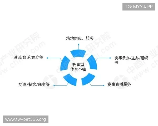 BCK体育全新赛事解析与未来发展趋势深度观察