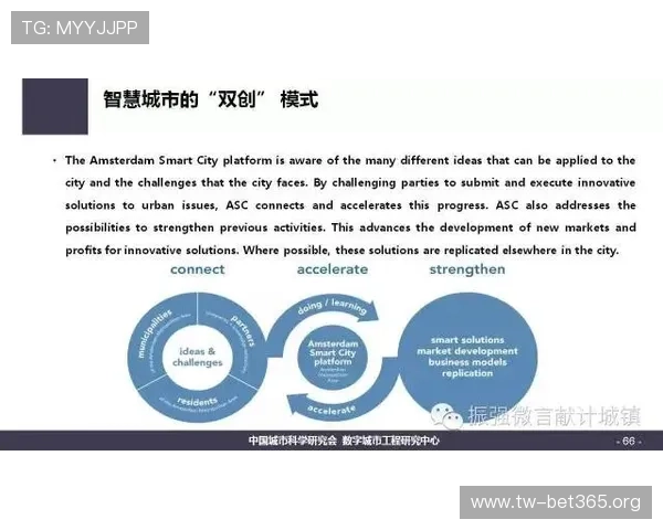南宫28核心探秘：城市发展与文化传承的创新路径解析