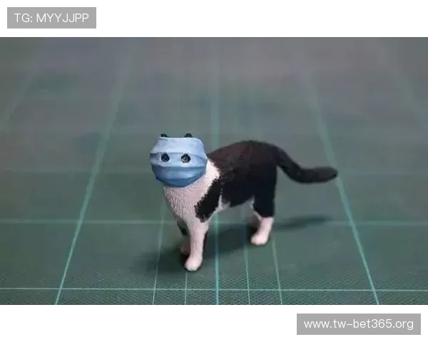 猫先生深夜游历旧城寻找失落记忆与温暖陪伴的奇妙冒险故事旅程 猫先生深夜游历旧城寻找失落记忆与温暖陪伴的奇妙冒险故事旅程